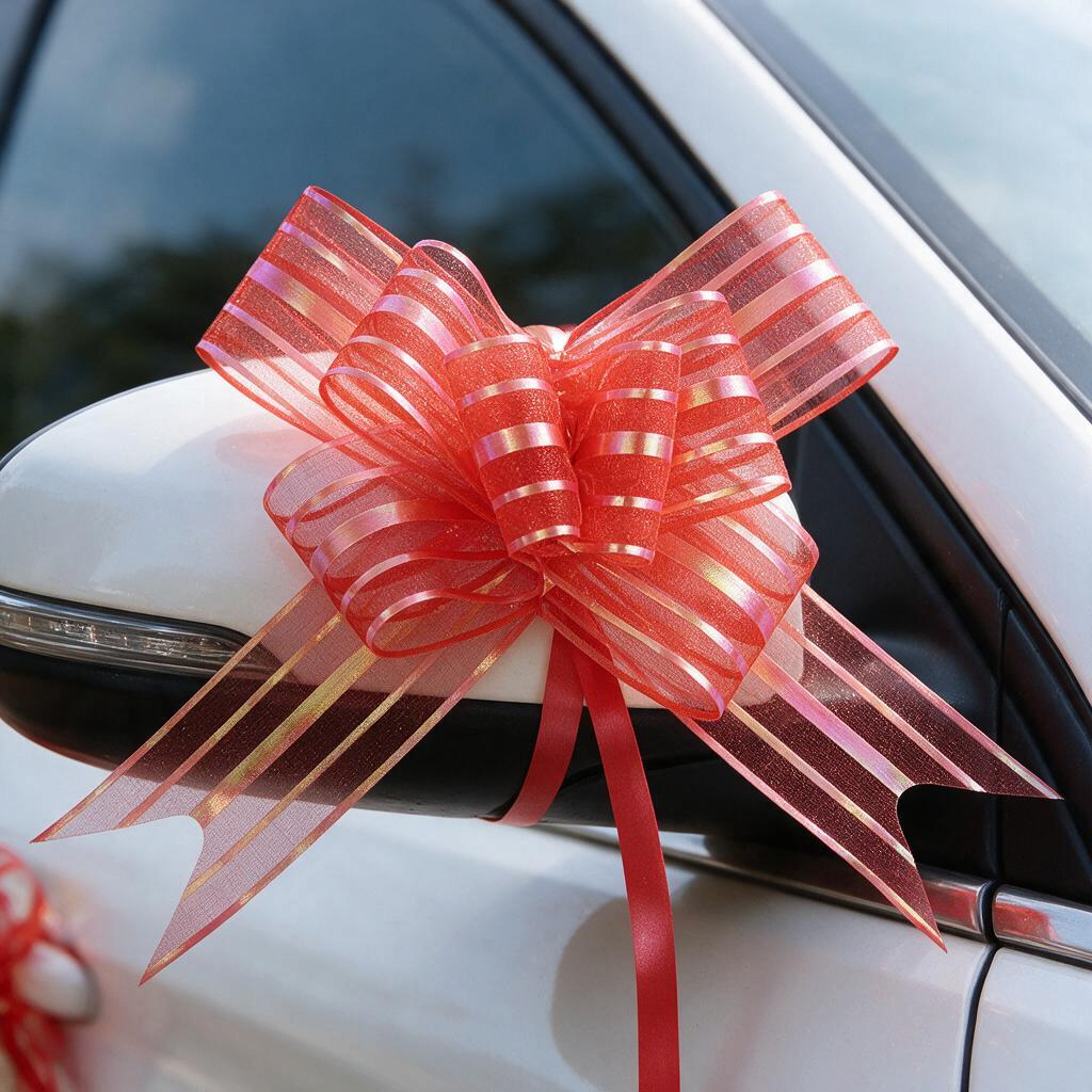 Decorative Gift Wrapping Ribbon Bows Set (10)