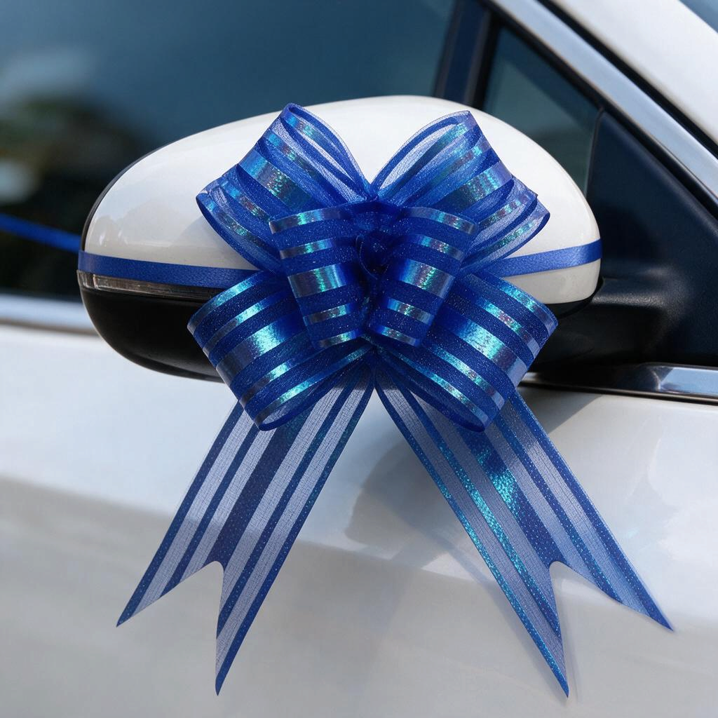 Decorative Gift Wrapping Pull Bows Set (10)
